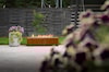 Planika Galio Corten Manual tumnagelbild